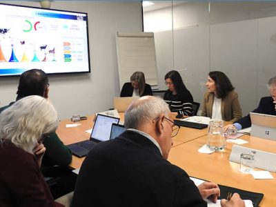 La producción de leche de 2025 en España fue estable