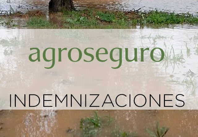 La estimación de indemnizaciones del seguro agrario por el tren de borrascas se eleva hasta los 50 millones de euros