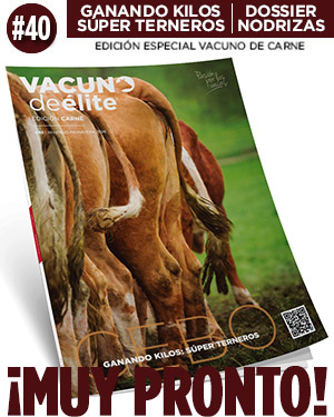 CARNE40_MUYPRONTO