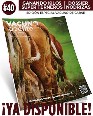 CARNE40_YADISPONIBLE_opt