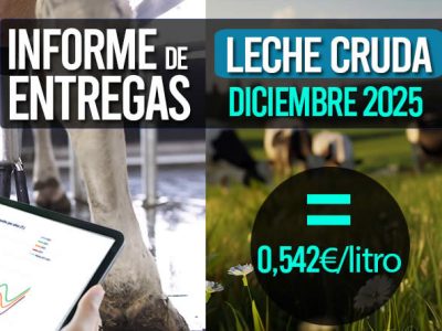 El precio medio de la leche cruda de diciembre 2025 sube a 0,542€/litro