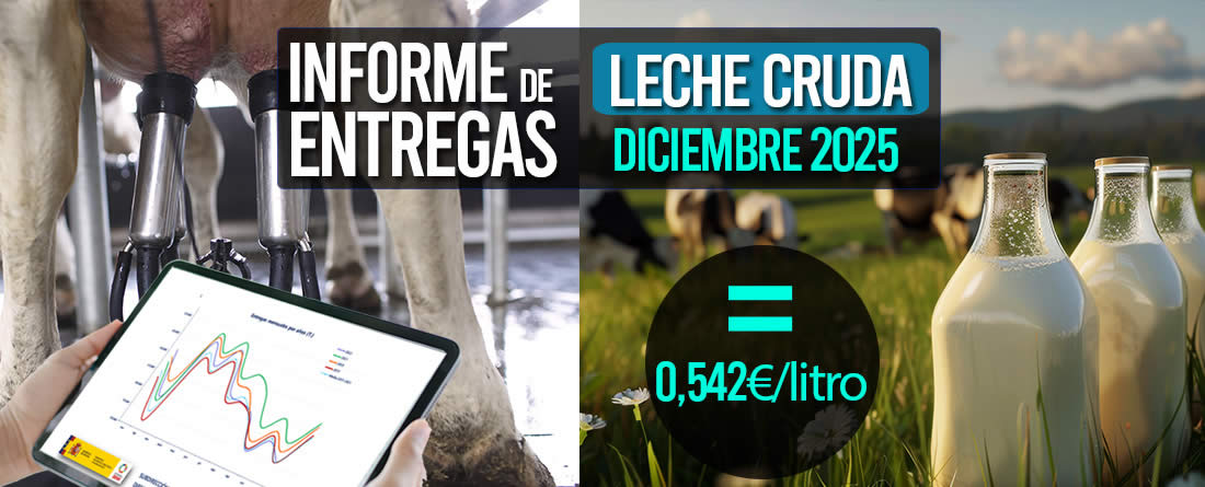 El precio medio de la leche cruda de diciembre 2025 sube a 0,542€/litro
