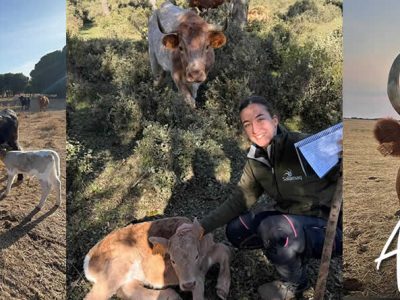 El campo existe y es el que alimenta el mundo, entrevista con AGRIPILAR