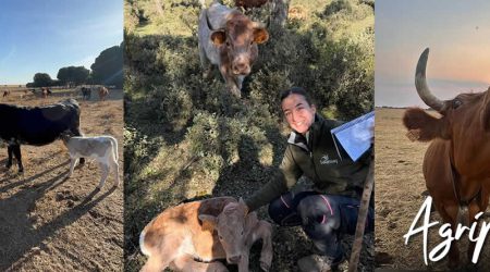 El campo existe y es el que alimenta el mundo, entrevista con AGRIPILAR