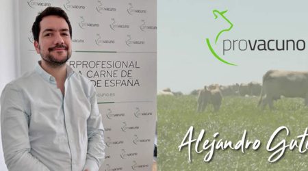 Alejandro Gutiérrez se incorpora a PROVACUNO como nuevo director adjunto