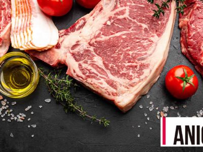 ANICE, El sector cárnico reivindica el valor nutricional, económico y de sostenibilidad de su producción