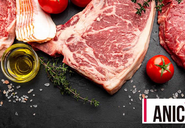ANICE, El sector cárnico reivindica el valor nutricional, económico y de sostenibilidad de su producción