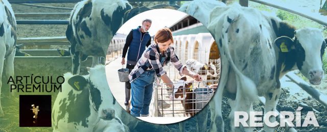 Artículo premium de vacuno lechero y novillas No hay futuro sin recría