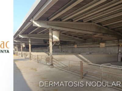 Cataluña levanta las últimas restricciones por la DNC, con pérdidas de 4 millones de euros