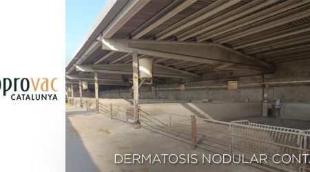 Cataluña levanta las últimas restricciones por la DNC, con pérdidas de 4 millones de euros