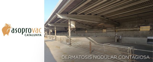 Cataluña levanta las últimas restricciones por la DNC, con pérdidas de 4 millones de euros