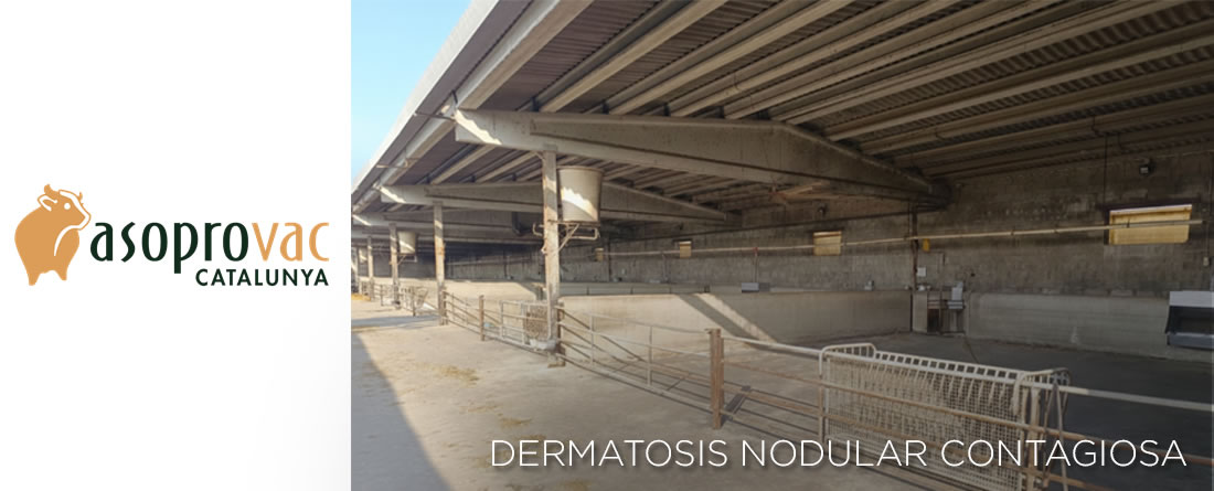 Cataluña levanta las últimas restricciones por la DNC, con pérdidas de 4 millones de euros