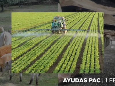 Abierto el plazo para solicitar las ayudas de la Política Agraria Común 2026