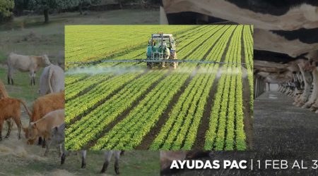Abierto el plazo para solicitar las ayudas de la Política Agraria Común 2026