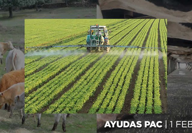 Abierto el plazo para solicitar las ayudas de la Política Agraria Común 2026