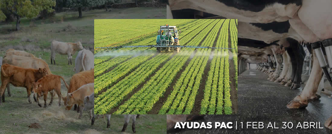 Abierto el plazo para solicitar las ayudas de la Política Agraria Común 2026