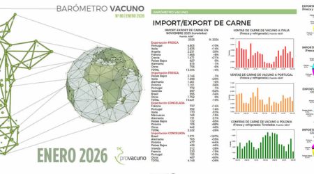 PROVACUNO publica el Barómetro Vacuno para Enero 2026