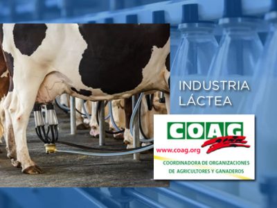 La industria láctea amenaza con una bajada de los precios de leche mientras el número de ganaderos cae al mínimo histórico en España: 8.749