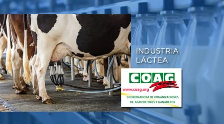 La industria láctea amenaza con una bajada de los precios de leche mientras el número de ganaderos cae al mínimo histórico en España: 8.749