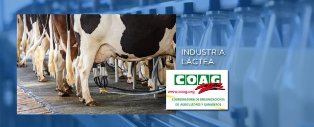 La industria láctea amenaza con una bajada de los precios de leche mientras el número de ganaderos cae al mínimo histórico en España: 8.749