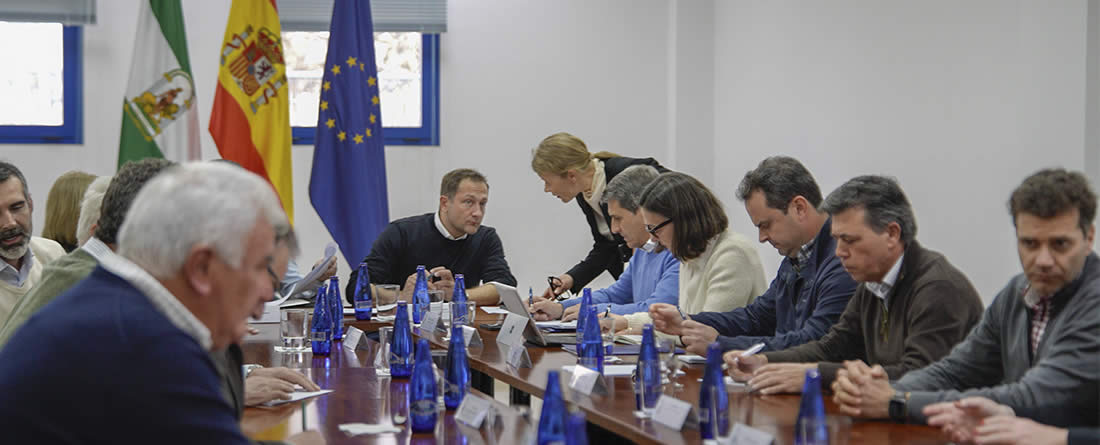 Análisis de los daños ocasionados por las borrascas