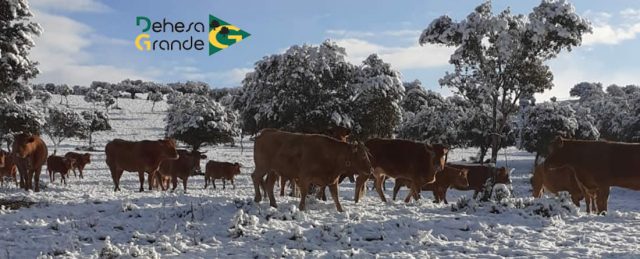 El grupo cooperativo DEHESA GRANDE incrementa más del 21 por ciento su facturación en 2025