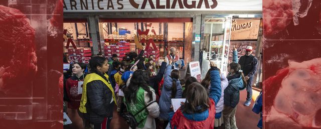 Provacuno, Interovic y Mercamadrid muestran el valor del sector ganadero y cárnico en una visita inmersiva al Mercado Central de Carnes