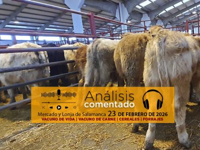 Análisis de la lonja y mercado de ganado vacuno de Salamanca 23 de febrero de 2026