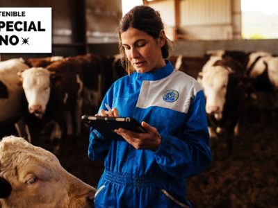 Provacuno lanzará una app para medir la huella de carbono del vacuno de carne en España