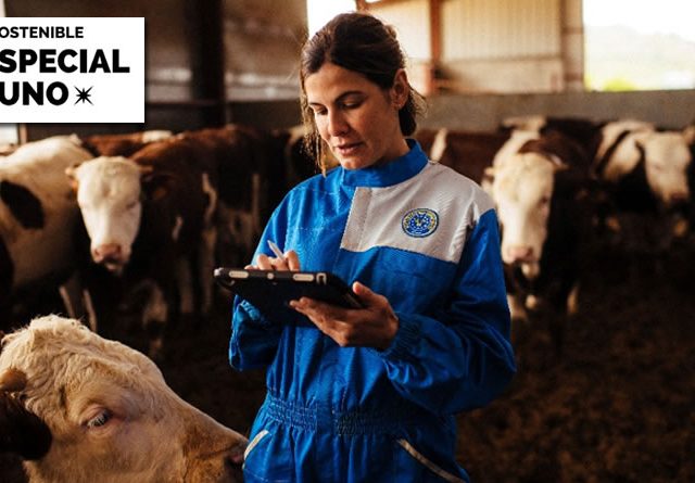 Provacuno lanzará una app para medir la huella de carbono del vacuno de carne en España