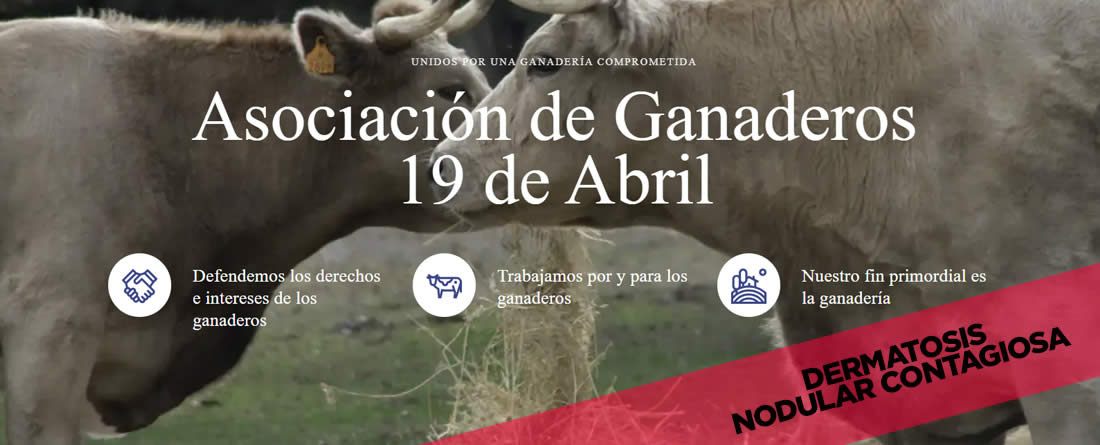 La Asociación pide el cambio de categoría de la Dermatosis Nodular Contagiosa (DNC) y la autorización urgente de la vacunación preventiva