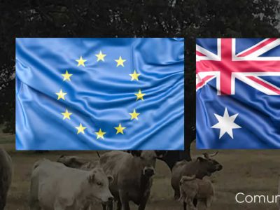 El acuerdo de libre comercio UE-Australia pone en riesgo al sector vacuno europeo y español