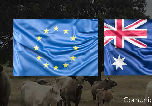 El acuerdo de libre comercio UE-Australia pone en riesgo al sector vacuno europeo y español