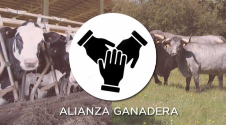 La Alianza Ganadera se consolida y denuncia ante los partidos políticos que los actuales protocolos sanitarios son "más dañinos que la enfermedad"