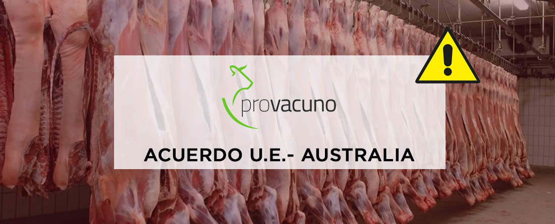 PROVACUNO demanda a la Comisión Europea que exija el estricto cumplimiento con el modelo de producción europeo a la carne de vacuno que se importe bajo el Acuerdo de Libre Comercio UE-Australia