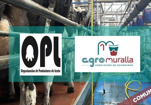 Agromuralla y asociación OPL muestran su oposición a la bajada del precio de la leche de vaca en origen que están promoviendo las industrias lácteas