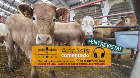 Análisis de la lonja y mercado de ganado vacuno de Salamanca 9 de marzo de 2026