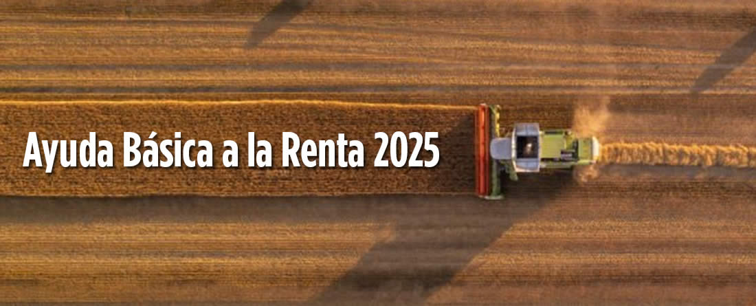9 millones de euros de la Reserva Nacional de Ayuda Básica a la Renta 2025