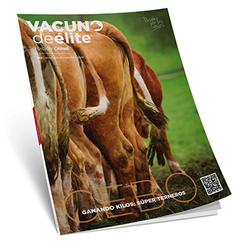 carne#40_online Revista Vacuno de élite Carne Nº40 Súper terneros