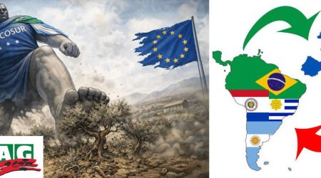 COAG considera una grave irresponsabilidad la aprobación provisional del acuerdo UE Mercosur tras reconocer los propios auditores de la Comisión Europea que el sistema brasileño no puede garantizar que carne hormonada llegue a nuestras mesas