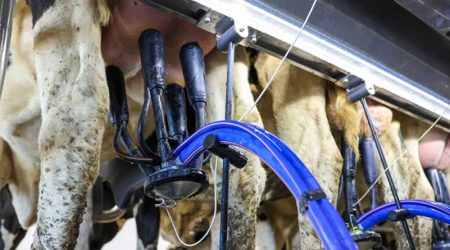 DeLaval lanza Evanza™ Retrofit