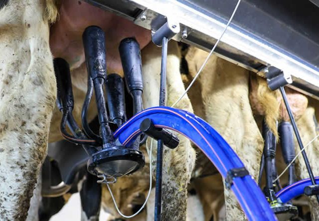 DeLaval lanza Evanza™ Retrofit