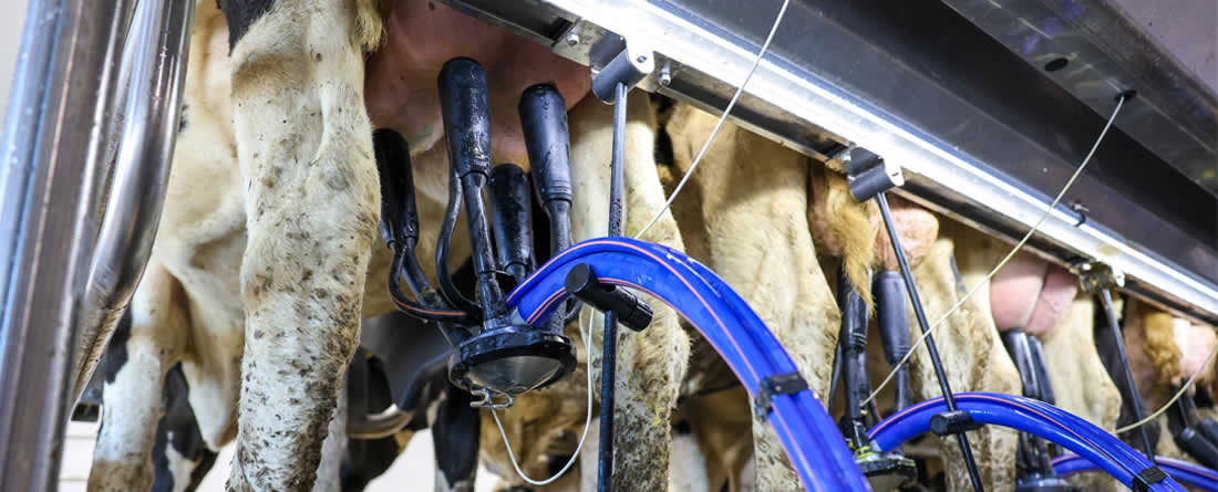 DeLaval lanza Evanza™ Retrofit