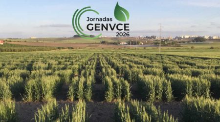 Las X Jornadas de Genvce analizan el futuro del cereal en Jerez de la Frontera