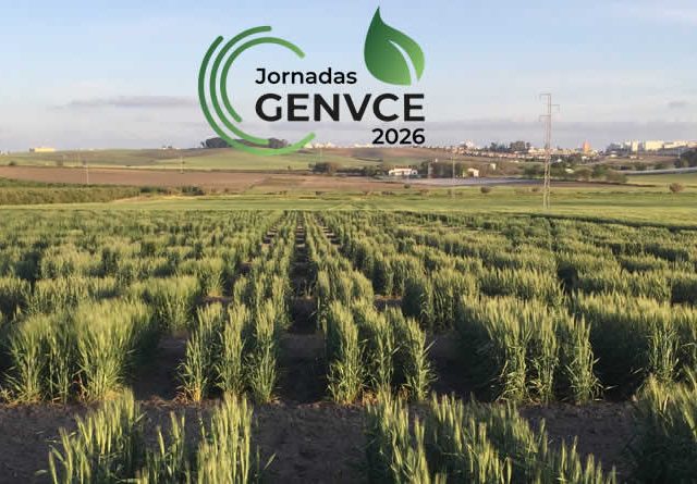 Las X Jornadas de Genvce analizan el futuro del cereal en Jerez de la Frontera