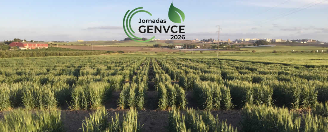 Las X Jornadas de Genvce analizan el futuro del cereal en Jerez de la Frontera