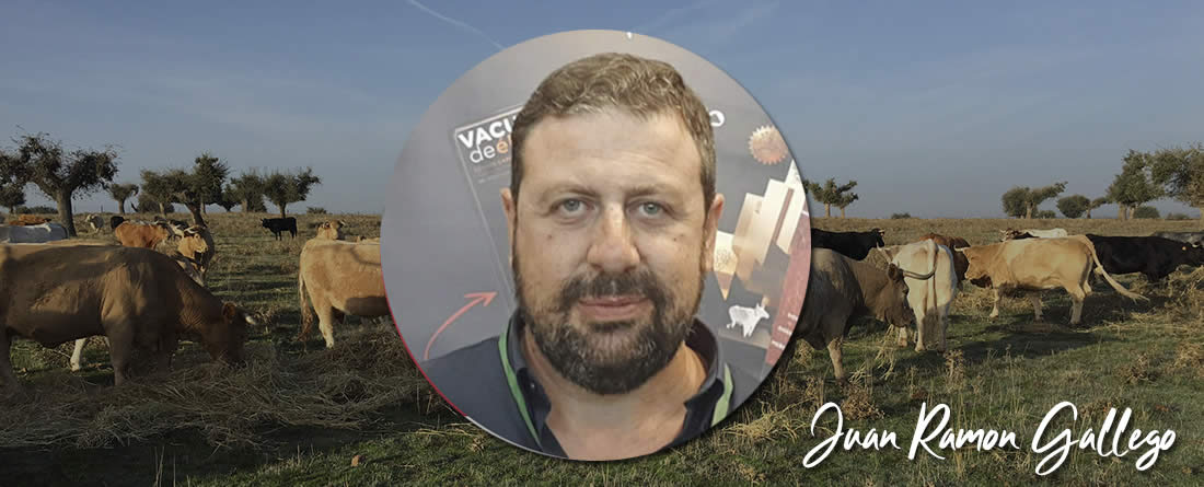 juanra_balcon_poni_opt