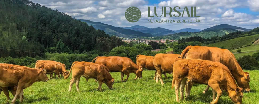 LURSAIL, nuevo pilar en el agro vasco para el desarrollo del sector