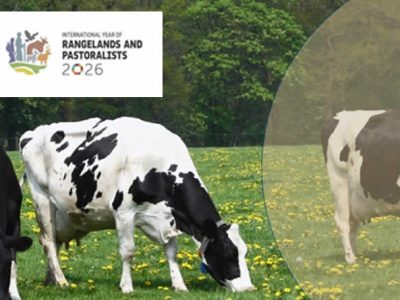 2026, el año para poner en valor el pastoreo