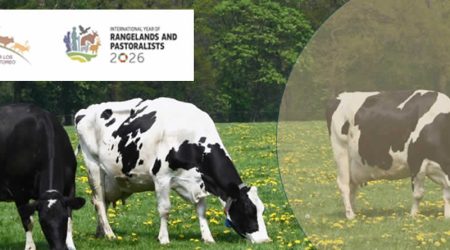 2026, el año para poner en valor el pastoreo